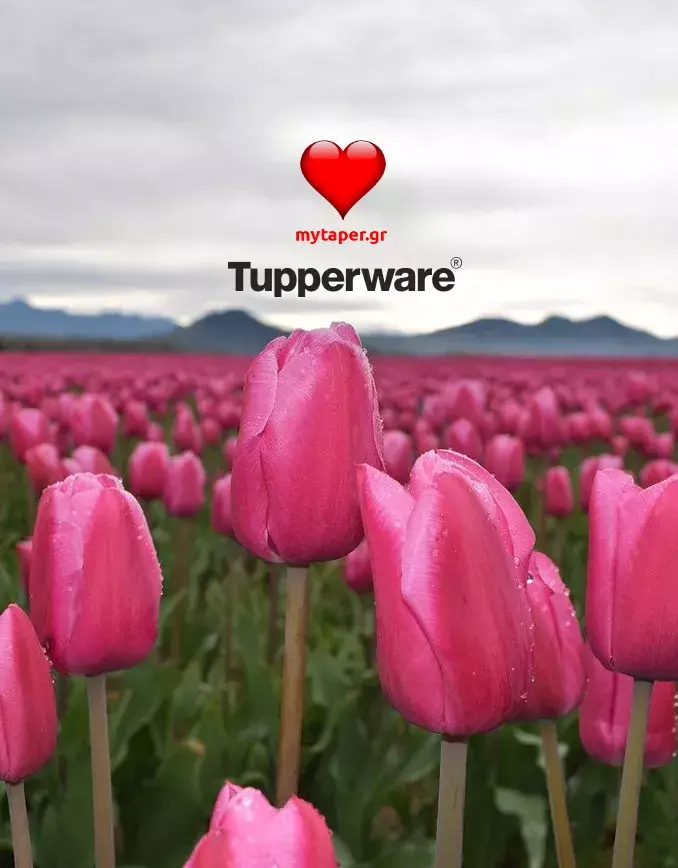 Φυλλάδιο Tupperware «Οι προσφορές του Μήνα» - Μάιος 2020 