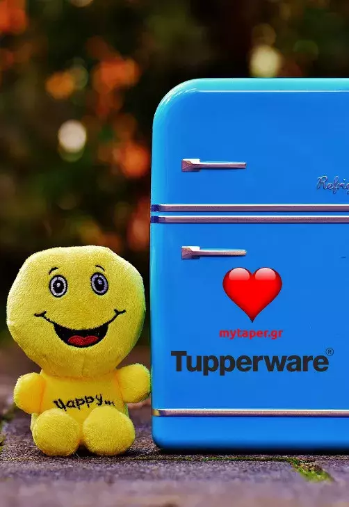 Φυλλάδιο Tupperware με δοχεία Έξυπνης Ψύξης - Αύγουστος 2020