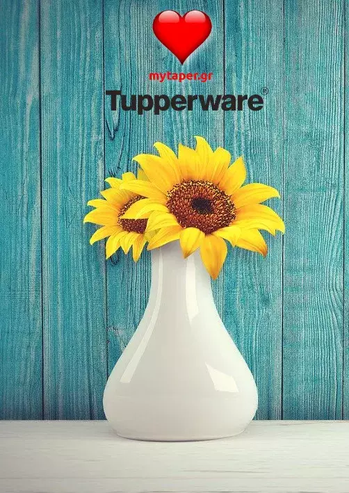 Φυλλάδιο Tupperware με Προσφορές και Αγαπημένα Σετ - Αύγουστος 2020