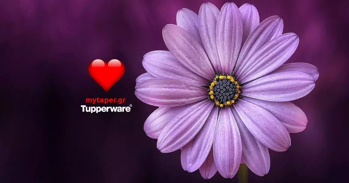 Ανοιξιάτικες προσφορές από την Tupperware
